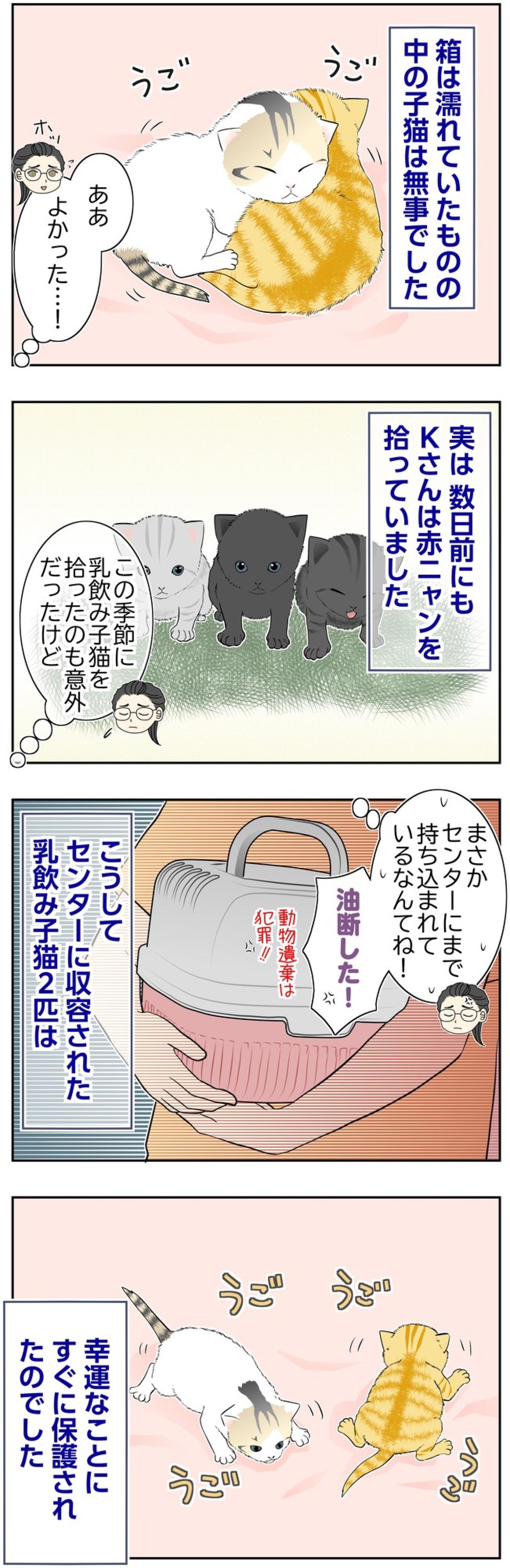 【マンガ・老猫日誌＃133】置き去りの子猫2匹に、救いの手が届いた日〜思い出の老猫日誌・桃姐と小論（画像2）