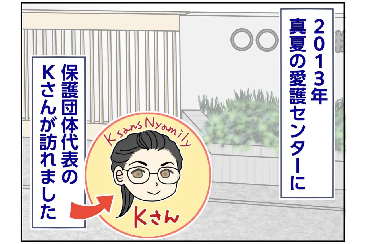 【マンガ・老猫日誌＃132】子猫の入った箱がぐっしょり！ Kさんの焦り〜思い出の老猫日誌・桃姐と小論