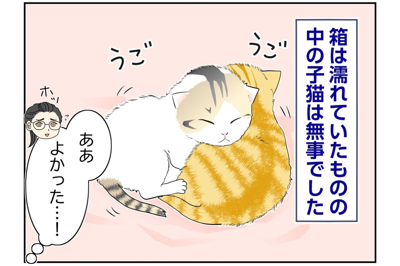 【マンガ・老猫日誌＃133】置き去りの子猫2匹に、救いの手が届いた日〜思い出の老猫日誌・桃姐と小論