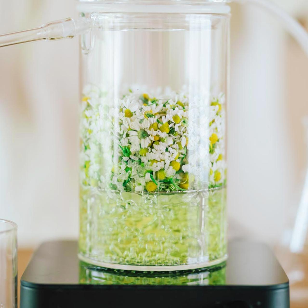 植物の香りが恋しくなるのは、休みたいサイン？「芳香蒸留水」で心地よく整える（画像3）