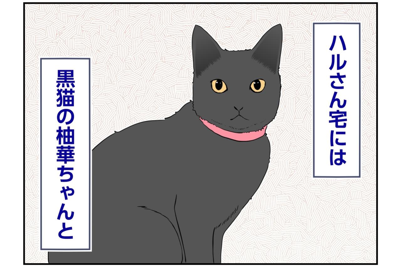 【マンガ・老猫日誌＃143】新しい家の先輩猫は、まさに「飴と鞭」〜思い出の老猫日誌・桃姐と小論