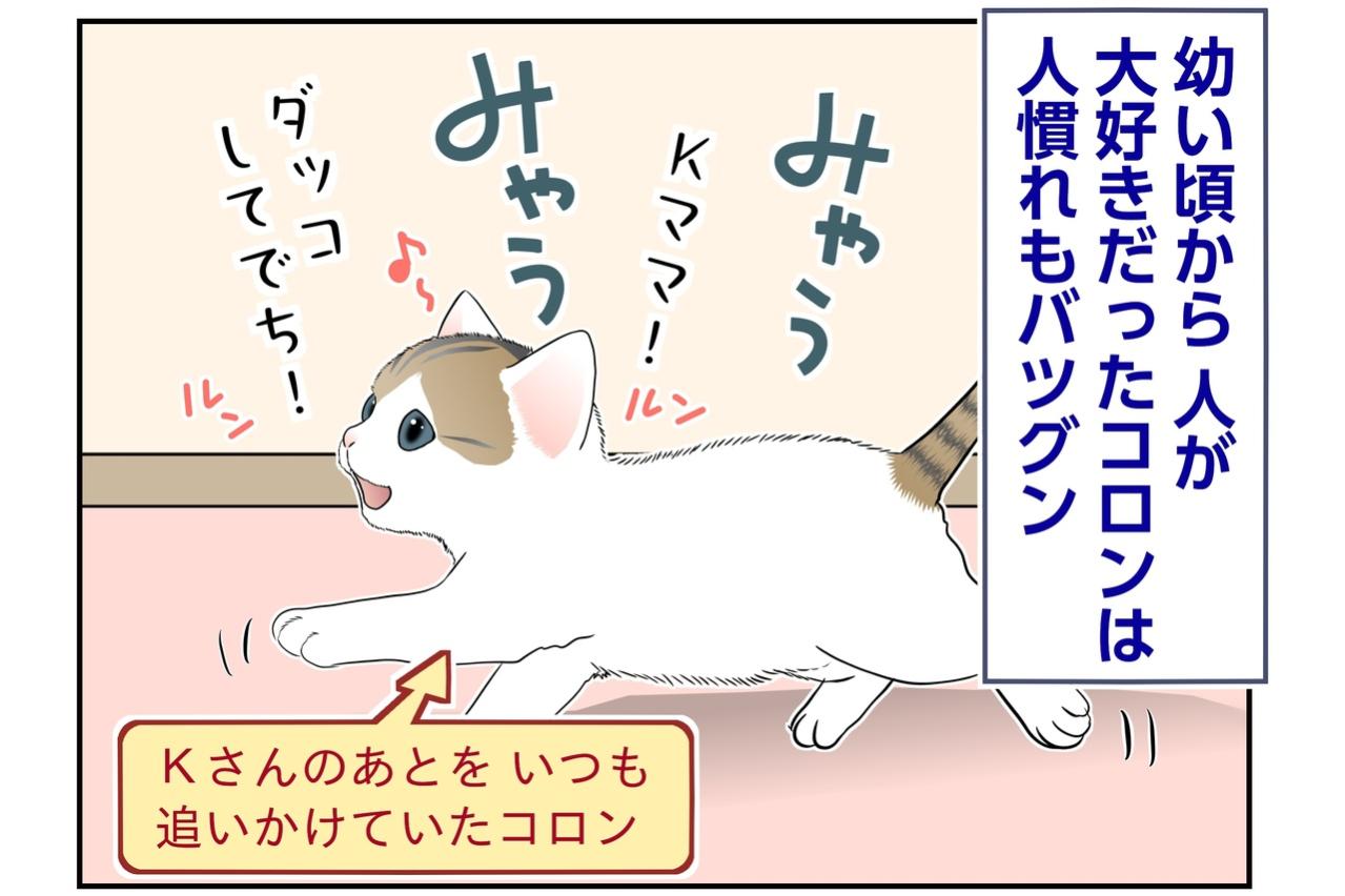 【マンガ・老猫日誌＃139】人は大好き、猫社会のルールはまだまだ勉強中〜思い出の老猫日誌・桃姐と小論
