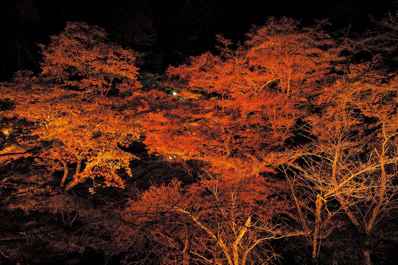 大人の秋旅は福井・越前へ。越前和紙の手仕事体験と、越前ガニ、温泉、紅葉を満喫！（画像11）