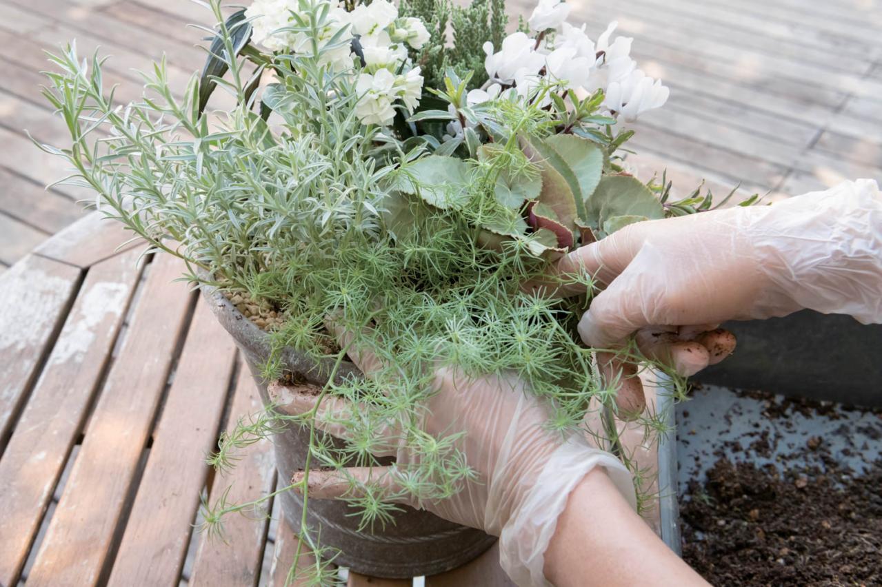 白・黒・シルバーで上品に決まる【秋のモノトーン寄せ植え】高低差と質感で立体的に（画像24）