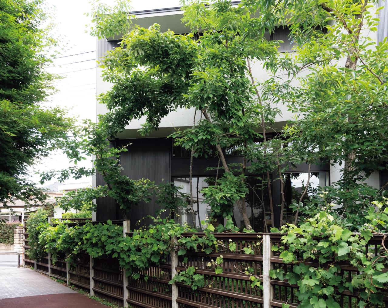 暗渠の小川跡を「渓流の庭」に再現した雑木の庭実例。果樹、野菜の収穫もできる！（画像10）