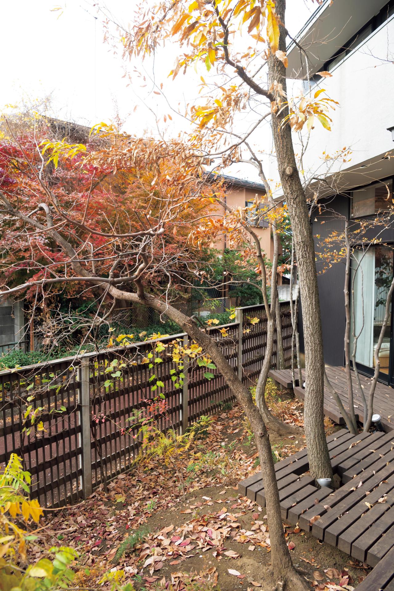 暗渠の小川跡を「渓流の庭」に再現した雑木の庭実例。果樹、野菜の収穫もできる！（画像4）