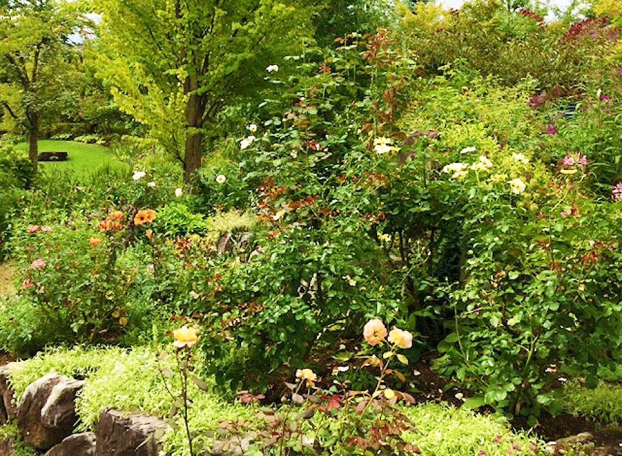 秋バラの深い花色と香りを味わう、草花との調和が美しい関東近郊ガーデン3選（画像2）