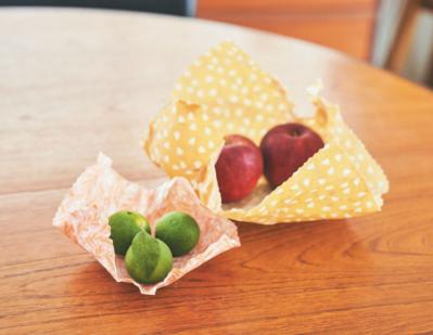 【お金・投資】トップブロガー中道あんさんが50代でたどりついた「自分ひとり分だけでOK」という考え方（サムネイル画像4）