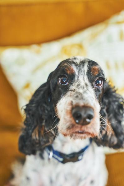 【お金・投資】トップブロガー中道あんさんが50代でたどりついた「自分ひとり分だけでOK」という考え方（サムネイル画像2）