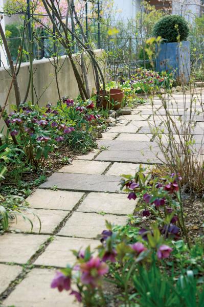 【クリスマスローズの庭実例】季節ごとに様々な植物が顔を出すガーデン＆有名ナーセリーの名花をコレクション（サムネイル画像2）