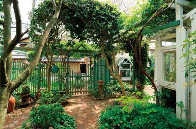 【クリスマスローズの庭実例】白や紫の落ち着いた花色の花壇＆和の植物とクリスマスローズが調和するガーデン【ガーデニング】（サムネイル画像13）