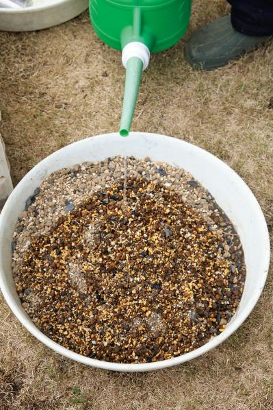 【写真で詳しく解説】プロに教わるクリスマスローズ育て。今年は「小さい苗から始めて、大株作り」を目指す！（サムネイル画像10）