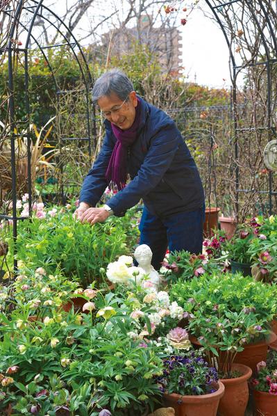 【クリスマスローズの庭実例】園芸ソムリエが伝授！鉢植えで楽しむガーデンと鉢の栽培方法【ガーデニング】（サムネイル画像2）