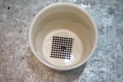 ミニ観葉植物の育て方まるわかりガイド。鉢の選び方からお手入れまで（サムネイル画像11）