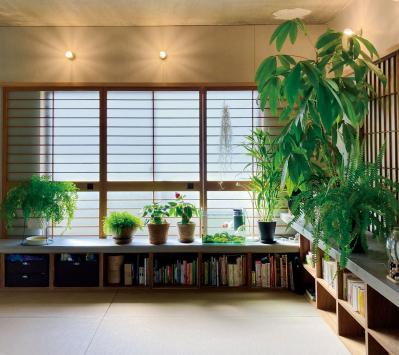 観葉植物のインテリア実例　ハンギングと床置きの絶妙バランス&和モダンな空間（サムネイル画像9）