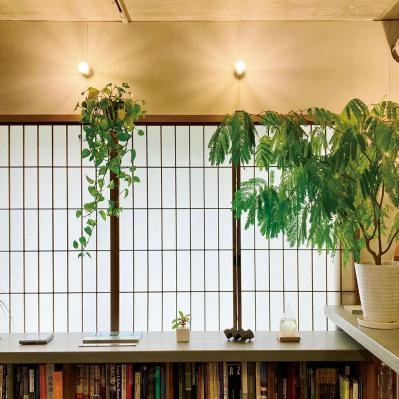 観葉植物のインテリア実例　ハンギングと床置きの絶妙バランス&和モダンな空間（サムネイル画像11）