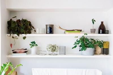 初めての私にもできそう！　プロが伝授　インドアグリーンのある心地いい空間のつくり方【観葉植物】（サムネイル画像3）