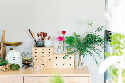 【観葉植物】植物大好きインスタグラマーの観葉生活を拝見Part３｜コンセプトは日本庭園。植物の数もお世話も引き算の発想で！【実例】（サムネイル画像7）