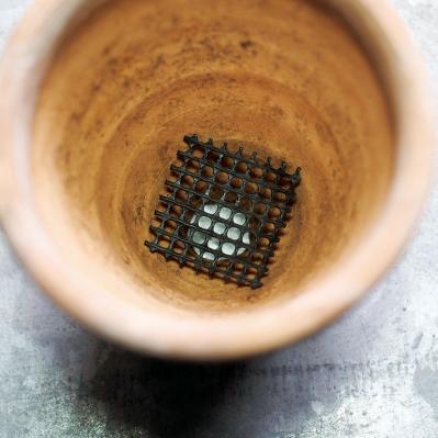 初心者でも簡単！多肉植物&サボテンの育て方。水やり、肥料、増やし方もわかる【保存版】（サムネイル画像4）