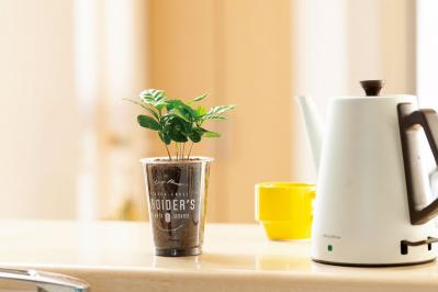 【ミニ観葉植物】人気15選！　人気ネットショップ「e -花屋さん」がおすすめ（サムネイル画像21）