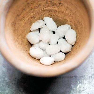 初心者でも簡単！多肉植物&サボテンの育て方。水やり、肥料、増やし方もわかる【保存版】（サムネイル画像5）