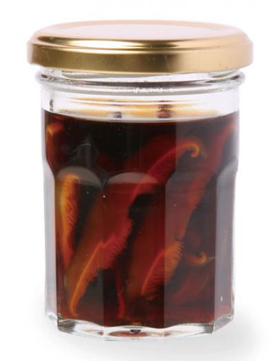 【親子丼】が絶品になる煮汁の配合とは？ すっきりした味のアレンジレシピも必見（サムネイル画像5）