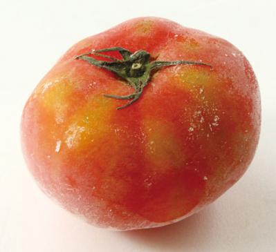 【トマト】の保存方法。鮮度を保ってうまみもアップするコツとは？（サムネイル画像7）