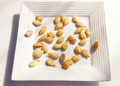 【かぼちゃ】保存で失敗しない！おすすめ長持ちテクニックと皮ごと調理の秘密（サムネイル画像4）