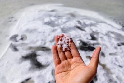 ステーキの仕上げにかける【塩】の選び方とは？グランドフードホールの岩城紀子さんがアドバイス（サムネイル画像2）