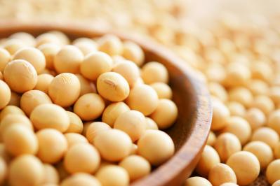 体が喜ぶ本物のおいしさ。【しょうゆ】と【みそ】の選び方をグランドフードホールの岩城紀子さんに聞く（サムネイル画像2）