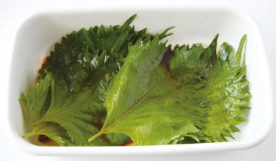 シナシナしない【しそ】の保存方法。買ってきたときよりみずみずしくなるコツとは？ （サムネイル画像4）