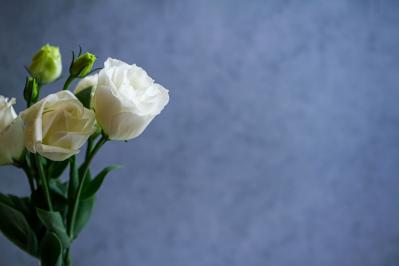 【身近な人が亡くなったとき】通夜までに決めるべきこととは？50代から心得ておきたい冠婚葬祭の常識