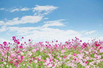 心のモヤモヤ、うつうつに、時田ひさ子さんの提案「これをすればラクになる」自分なりの方法を集めて