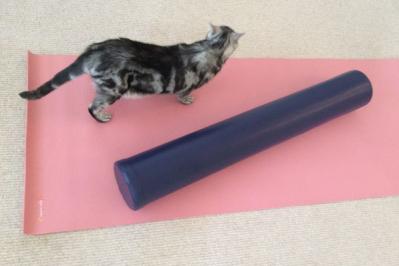 【ピンク・レディーのケイちゃん】ピンク・レディーのデビューから46年！増田惠子さんの美と健康の秘訣をたっぷり公開（サムネイル画像3）