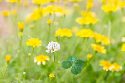 いらいら、モヤモヤしている人に。玉置妙憂さんの提案「あなたの人生を幸せな物語にできるのは、あなただけです」