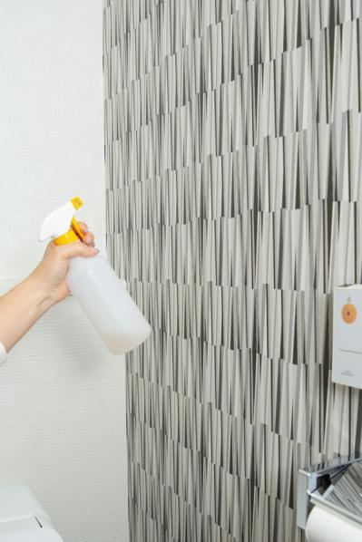 【トイレの便器・壁・床】を清潔にキープ！　さぼったリングもナチュラル洗剤できれいに【ラクラク掃除】（サムネイル画像6）