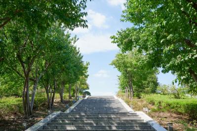 「もう少し寝たいのに朝早く目覚めてしまう」ときの解決法は？お疲れ世代の【睡眠４大悩み】にお答え！（サムネイル画像4）