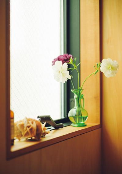 中目黒のフラワーショップ farver オーナーの自宅。「ジグザグに植物を配置する」と、こんなにすてき！（サムネイル画像19）