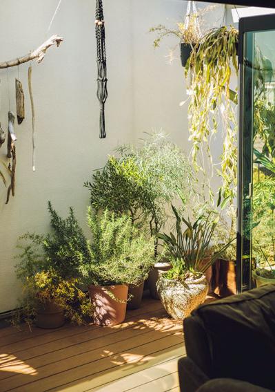 中目黒のフラワーショップ farver オーナーの自宅。「ジグザグに植物を配置する」と、こんなにすてき！（サムネイル画像12）