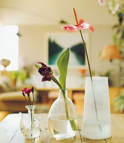 中目黒のフラワーショップ farver オーナーの自宅。「ジグザグに植物を配置する」と、こんなにすてき！（サムネイル画像22）