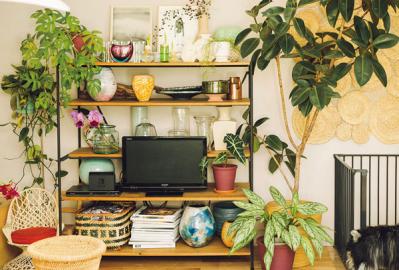 中目黒のフラワーショップ farver オーナーの自宅。「ジグザグに植物を配置する」と、こんなにすてき！（サムネイル画像8）