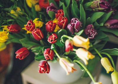 中目黒のフラワーショップ farver オーナーの自宅。「ジグザグに植物を配置する」と、こんなにすてき！（サムネイル画像5）