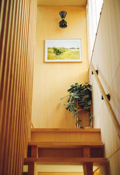 中目黒のフラワーショップ farver オーナーの自宅。「ジグザグに植物を配置する」と、こんなにすてき！（サムネイル画像11）