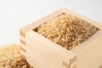 NHK大河ドラマ「どうする家康」の戦国期に食べていたもの。家康が好んだスイーツは？（サムネイル画像2）