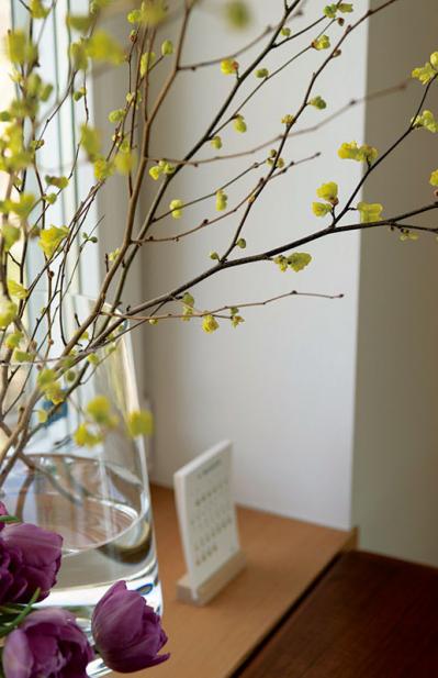 話題のアトリエ「北中植物商店」オーナー夫妻の自宅。暮らしに寄り添う花の飾り方（サムネイル画像21）