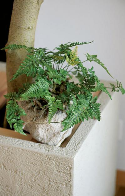 話題のアトリエ「北中植物商店」オーナー夫妻の自宅。暮らしに寄り添う花の飾り方（サムネイル画像17）