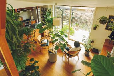 植物と暮らす幸福感ってこんな感じ！　人気インスタグラマーの「光と土を大切にした」インテリア（サムネイル画像）