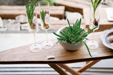 話題のアトリエ「北中植物商店」オーナー夫妻の自宅。暮らしに寄り添う花の飾り方（サムネイル画像9）