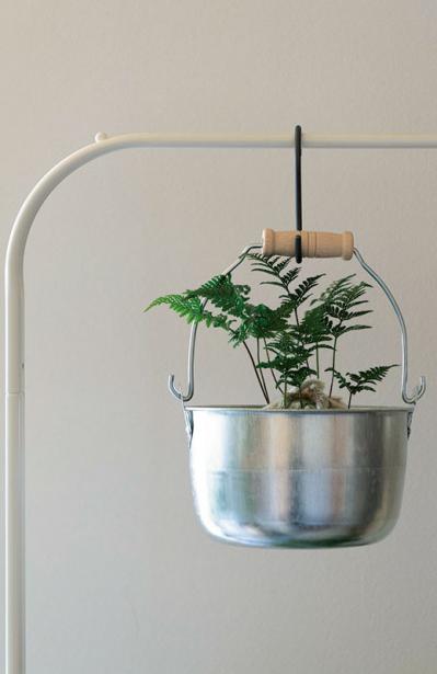 話題のアトリエ「北中植物商店」オーナー夫妻の自宅。暮らしに寄り添う花の飾り方（サムネイル画像5）