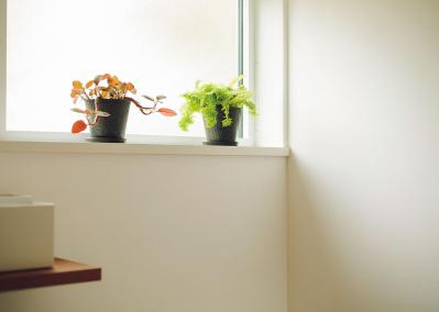 植物と暮らす幸福感ってこんな感じ！　人気インスタグラマーの「光と土を大切にした」インテリア（サムネイル画像14）